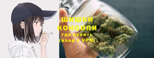 PSILOCYBIN Новодвинск