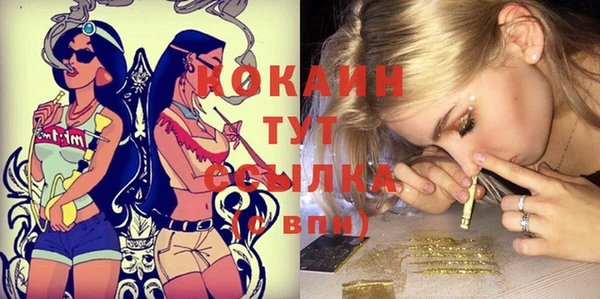 молекула духа Няндома