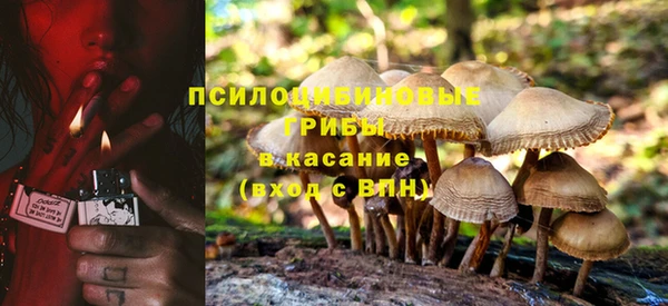 альфа пвп Новокубанск