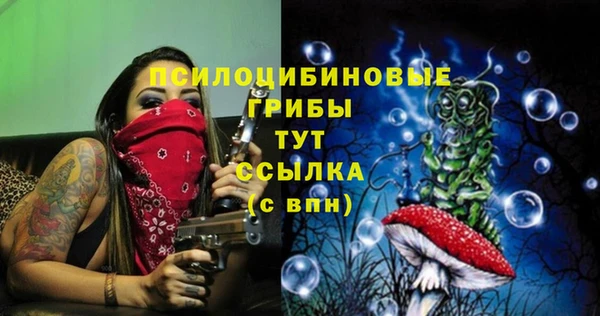 PSILOCYBIN Новодвинск