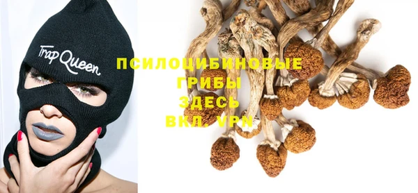 меф Нязепетровск