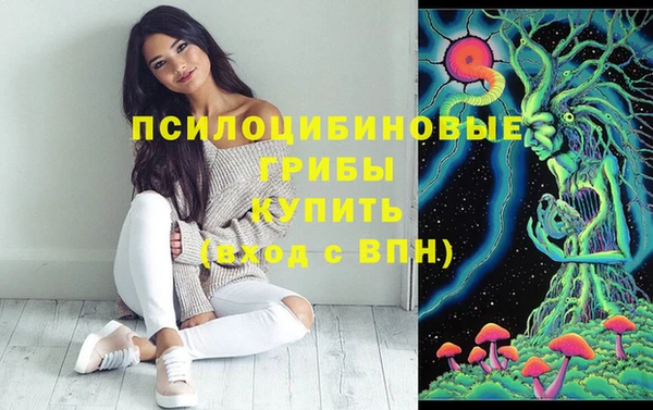 PSILOCYBIN Новодвинск