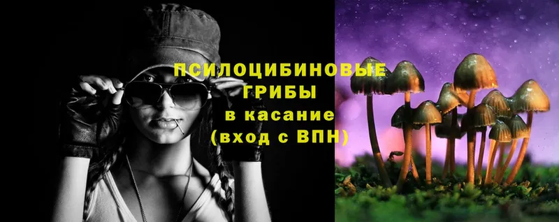 наркотики  Оленегорск  Псилоцибиновые грибы MAGIC MUSHROOMS 